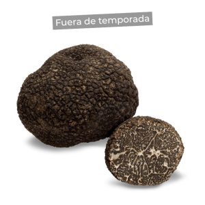 Trufa negra tuber melanosporum vitt. [Entre 8 y 20gr.] (0,1 kg)